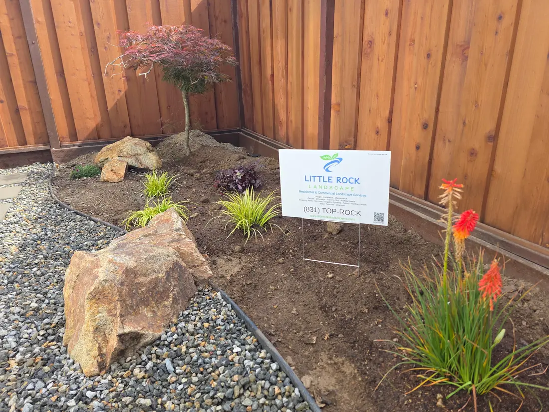 Carmel Valley project — Drought-tolerant garden