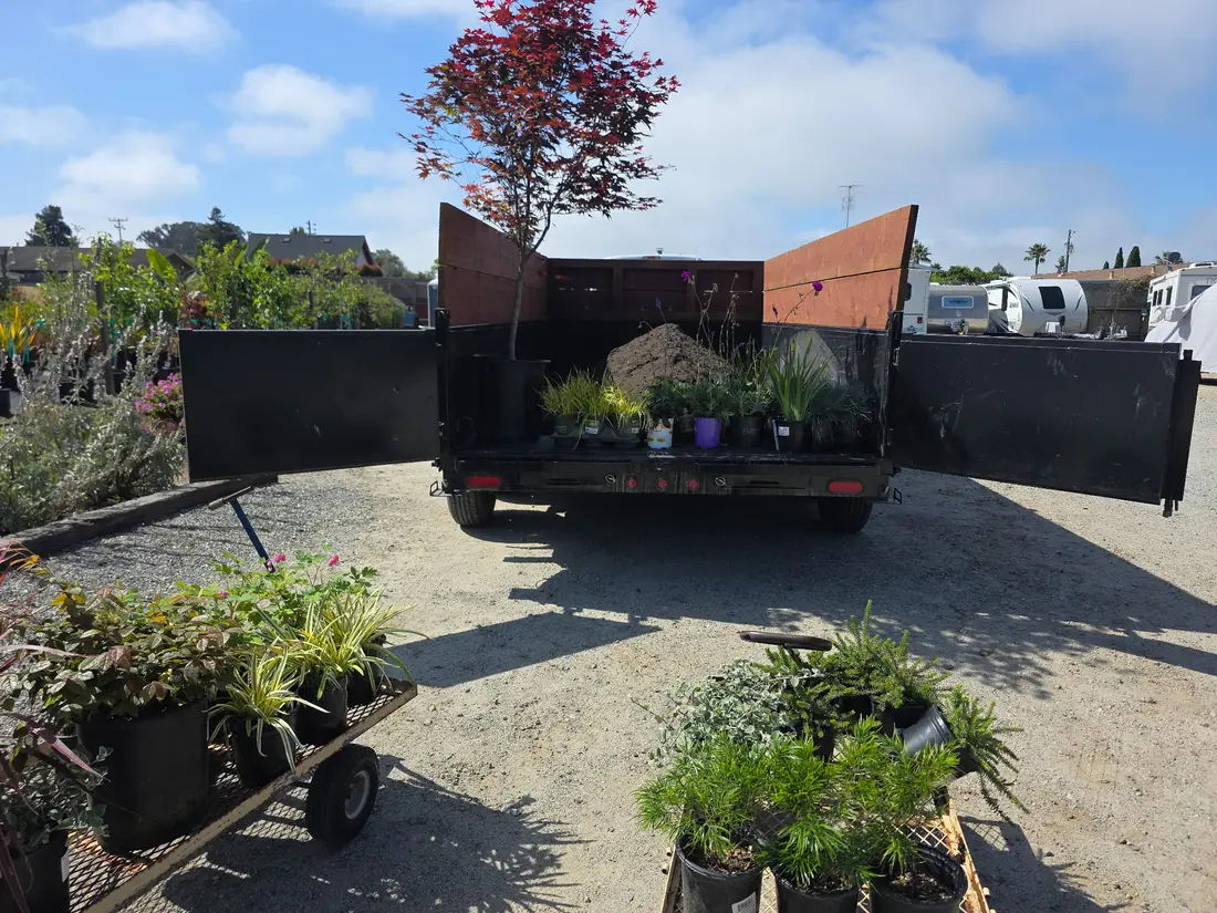 Pebble Beach project — Yard refresh