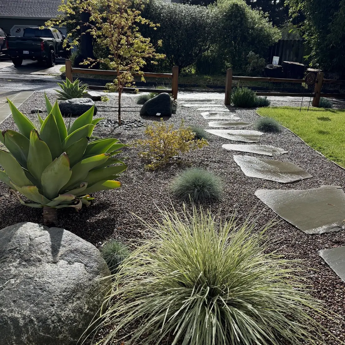 Carmel project — Side-yard build