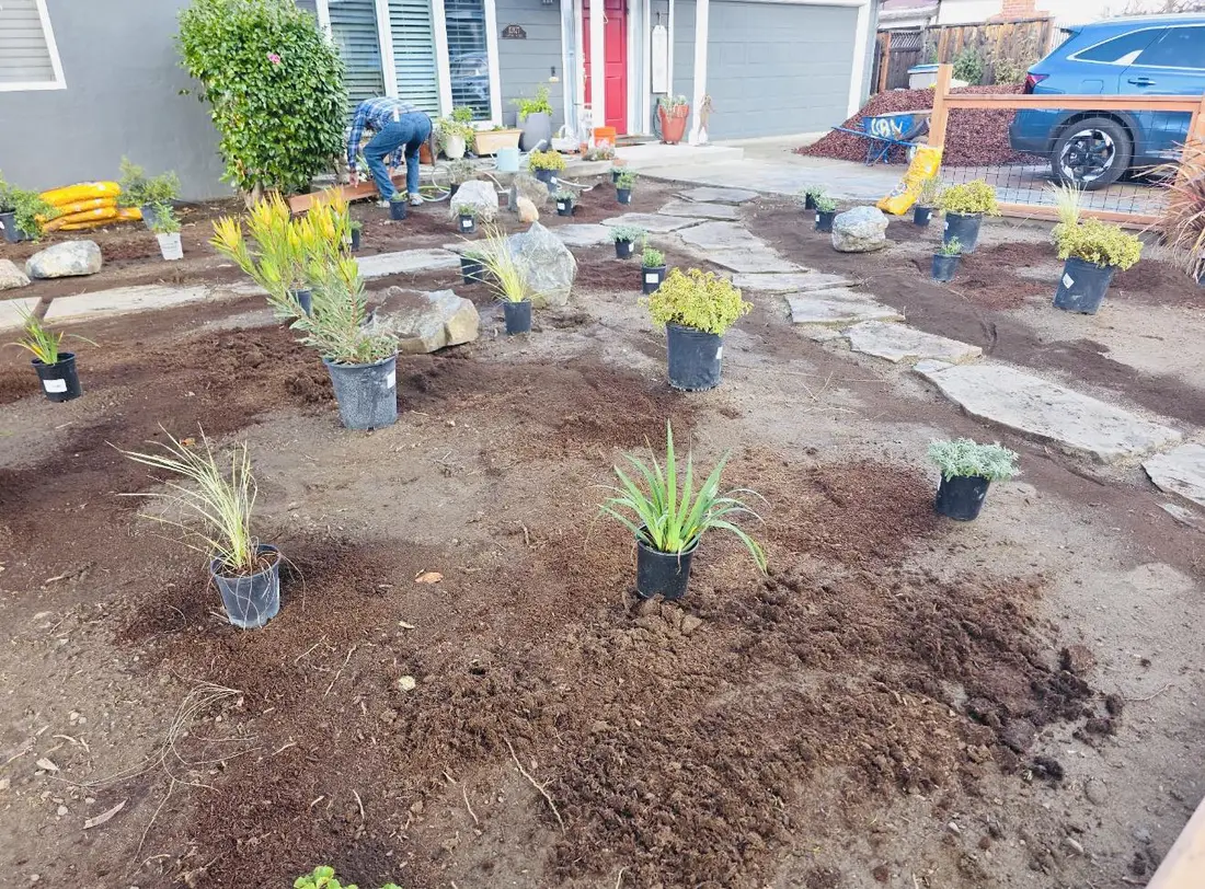 Monterey project — Mulched bed