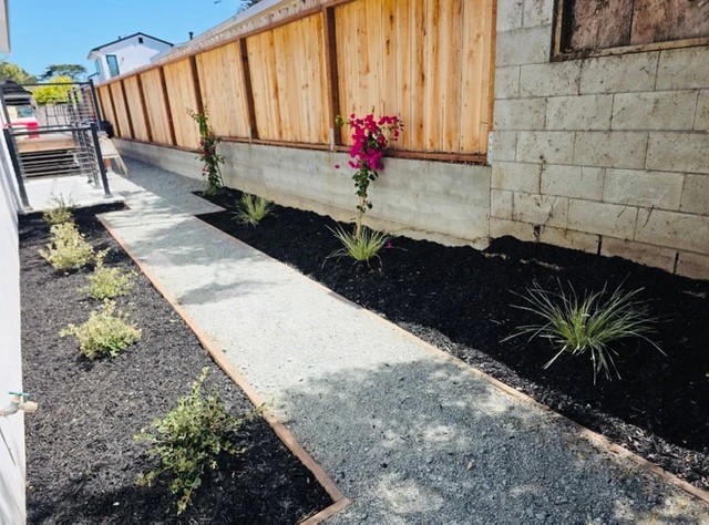 Carmel Valley project — Backyard build